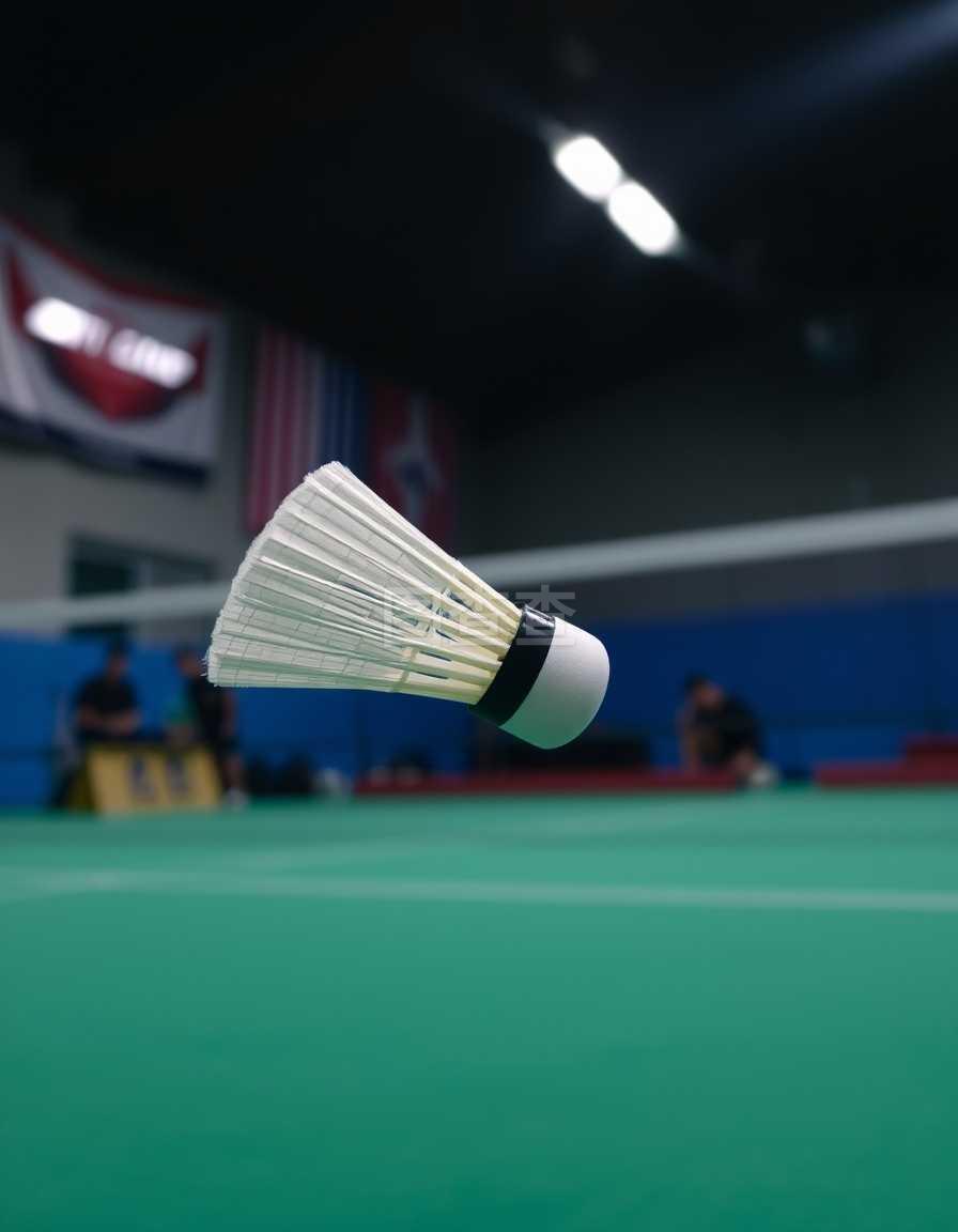 吸引了来自 吸引了来自