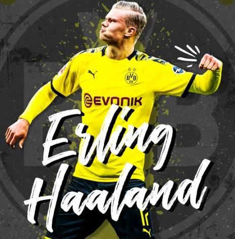 往往来自连 往往来自连