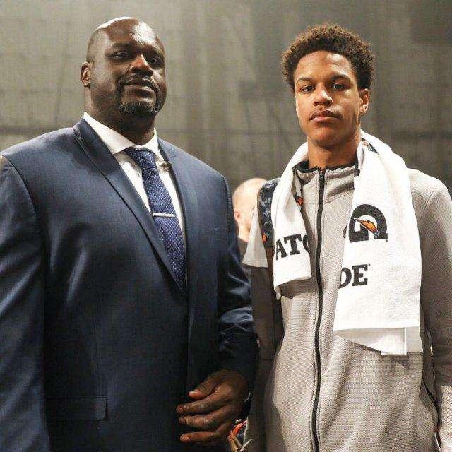 成为体系里 成为体系里